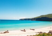 Praia paradisíaca no Nordeste do Brasil com coqueiros, areia branca e mar azul-turquesa sob um céu ensolarado