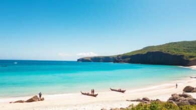 Praia paradisíaca no Nordeste do Brasil com coqueiros, areia branca e mar azul-turquesa sob um céu ensolarado