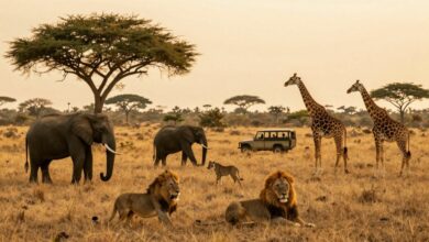 Paisagem exuberante de savana, repleta de animais selvagens como leões, elefantes e girafas, com um jipe de safári ao fundo, céu dourado ao entardecer